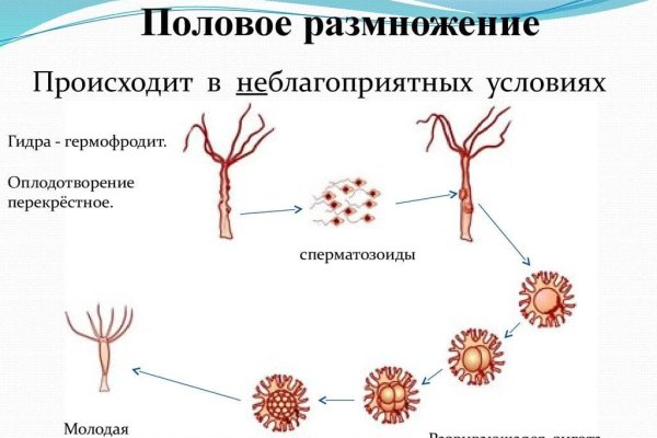 Кракен вход ссылка