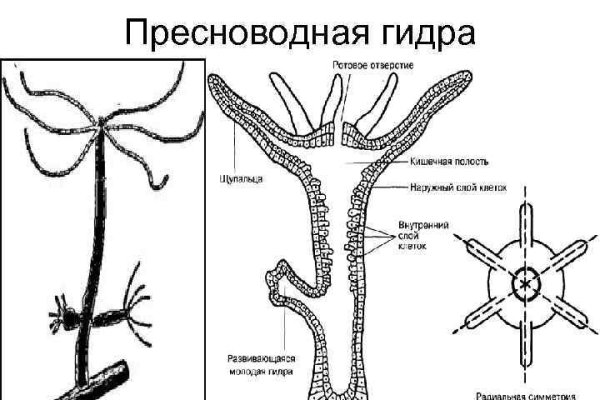 Купить наркотики в москве