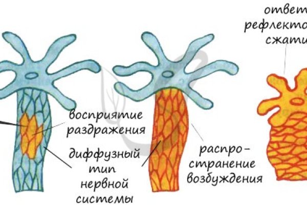 Kraken 12 at сайт